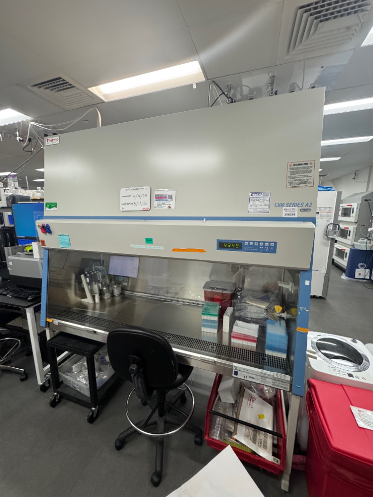 Image of Thermo 1300 Series A2 6' BioSafety Cabinet
